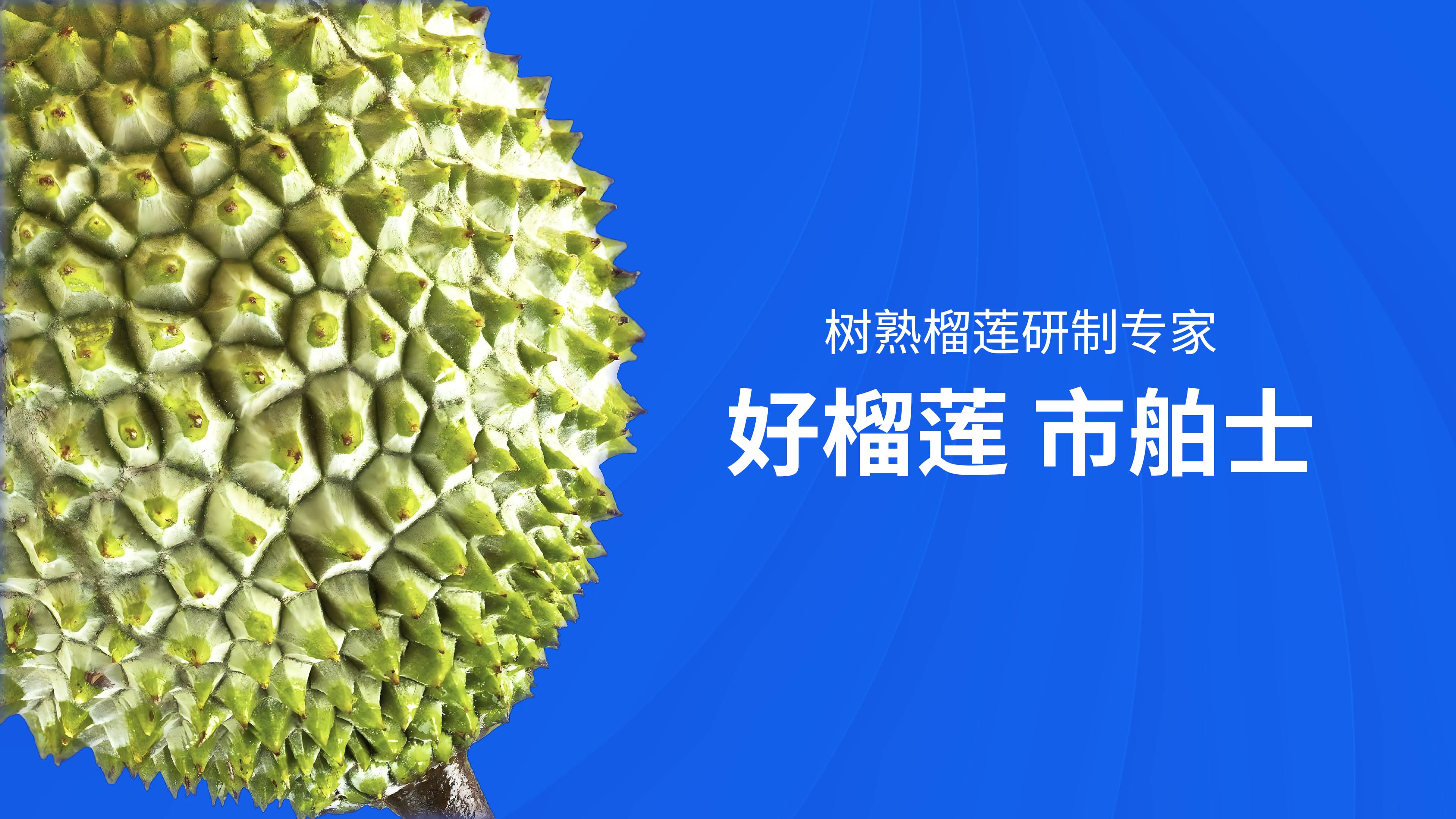好榴莲，市舶士树熟榴莲研制专家